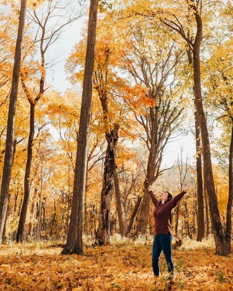 Dr. Stephanie Grunewald, Mindset & Alignment Strategist for women entrepreneurs, standing in the woods with her arms raised, surrounded by golden autumn leaves, representing renewal and clarity at RESET Retreats by Ancorio.